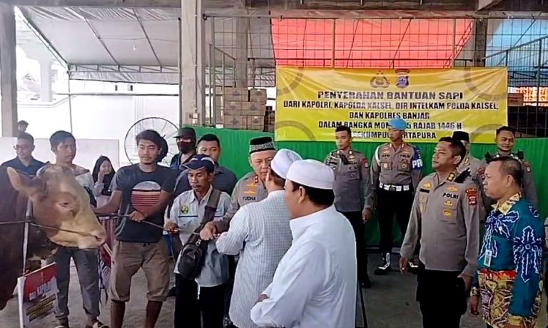 Kapolda Kalsel menyerahkan empat ekor sapi untuk kegiatan haul ke-20 Abah Guru Sekumpul